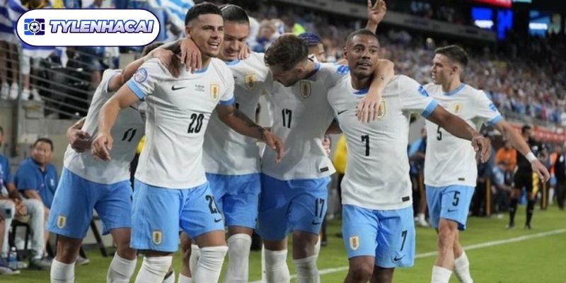 Đặc điểm hấp dẫn của kèo cược