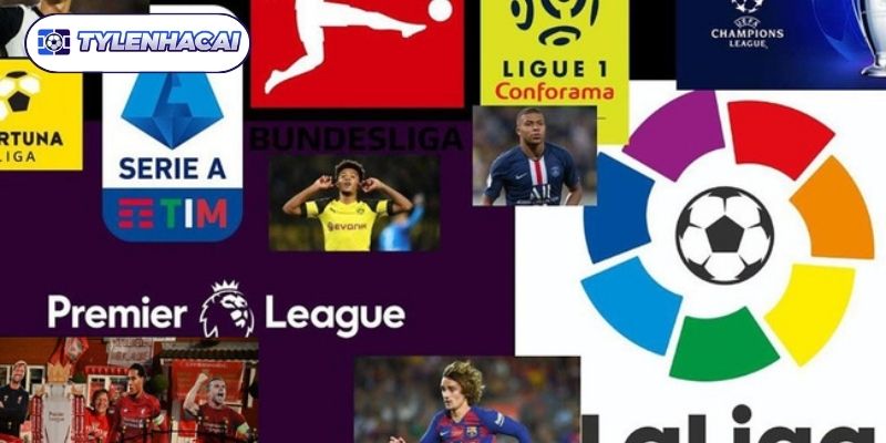 Điểm hấp dẫn của các giải đấu bóng đá