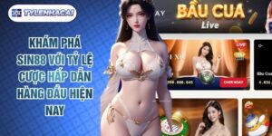 Khám Phá Sin88 Với Tỷ Lệ Cược Hấp Dẫn Hàng Đầu Hiện Nay