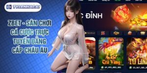 Zbet - Sân Chơi Cá Cược Trực Tuyến Đẳng Cấp Châu Âu