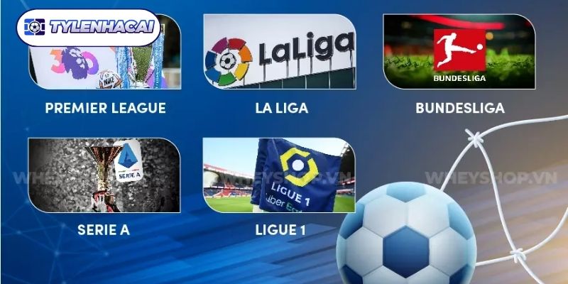 Tìm hiểu về AFC Champions League