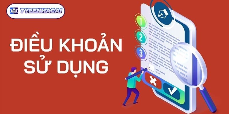 Trách nhiệm, quyền, nghĩa vụ người dùng trong điều khoản sử dụng