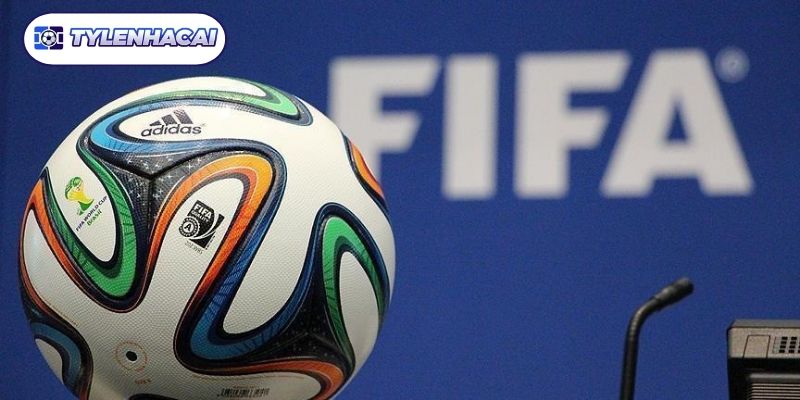 Trọn bộ thể thức thi đấu fifa